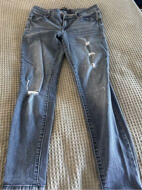 1822 Denim Distressed Blue Skinny Jeans